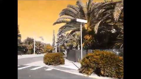 Loiterer - Key West (Pure Data Algorithmic Composition) [Microtonal - 5edo]