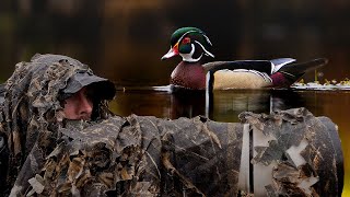 North America's Most Beautiful Duck: Behind the Lens