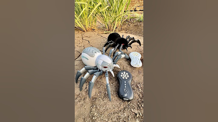 Black and white remote control spider comparison