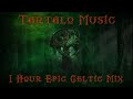 1 hour of epic celtic music by tartalo music  epic celtic music mix