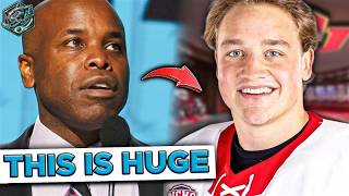 Now This Is Exciting Multiple Sharks Prospect Updates