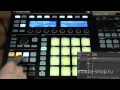 Native Instruments Maschine MkII и Mikro MkII. Основы работы.