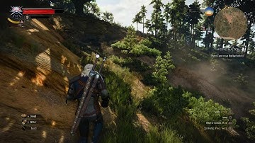 The Witcher 3: Wild Hunt - Complete Edition Missing In Action Dune Vildenvert