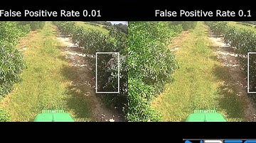 SSRR 2015: People in the Weeds, Test Set Detections