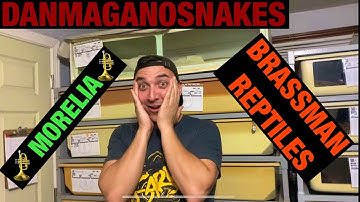Episode 61: Morelia mania! Carpets, bredli, short tails w/Jeremy Turgeon of Brassman reptiles & NERD