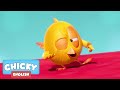 Where&#39;s Chicky? Funny Chicky 2020 | MAGIC CARPET | Chicky Cartoon in English for Kids