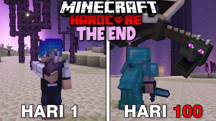 100 Hari di Minecraft Hardcore THE END