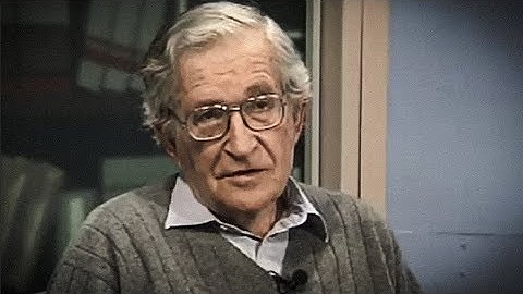 Noam Chomsky - The Function of Language