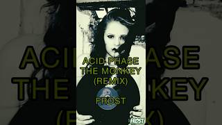 Acid Phase The Monkeyremix-Frost