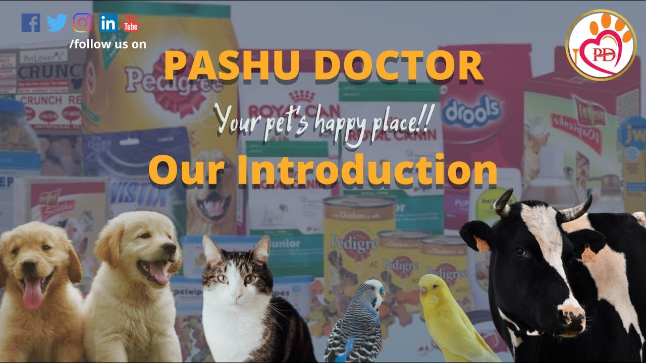 Pets and Animals Related sites Dr. Consultant