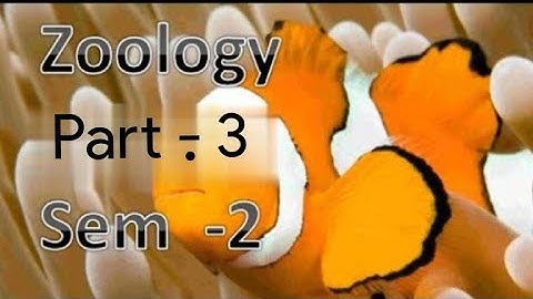 Kerala University BSc Botany previous questions -  ZOOLOGY - Part -  3 ( sem - 2 )