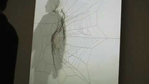 Being Not Truthful - Stefan Sagmeister and Ralph Ammer