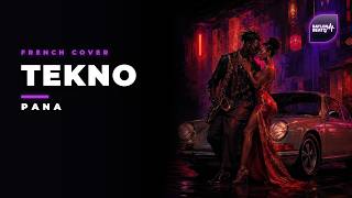 Tekno - Pana (Version Française by Baylon Beatz) | Full Cover Afrobeat