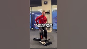 2 EXERCICES CLÉS ET PEU RÉPANDUS POUR LA FORCE DE TES QUADRICEPS ET ISCHIOS !