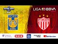 Resumen Tigres vs Necaxa | LigaBBVAMXFemenil | Guard1anes 2021 J6