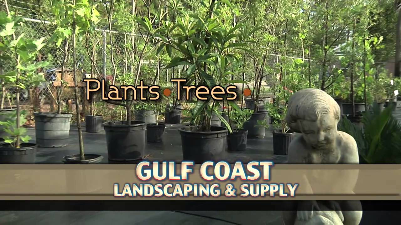 Gulf Coast Landscape Aug2014