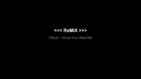 Pitbull - I Know You Want Me ReMiX