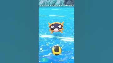 SHINY SHELLDER in Pokemon Let