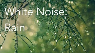 Rain Sounds for Relaxing, Focus or Deep Sleep | Nature White Noise | 8 Hour Video