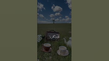 #قرآن_كريم #قرآن #قران_كريم القارئ #رعد_الكردي #تلاوات_خاشعة #تلاوات #تلاوة_خاشعة 🤍