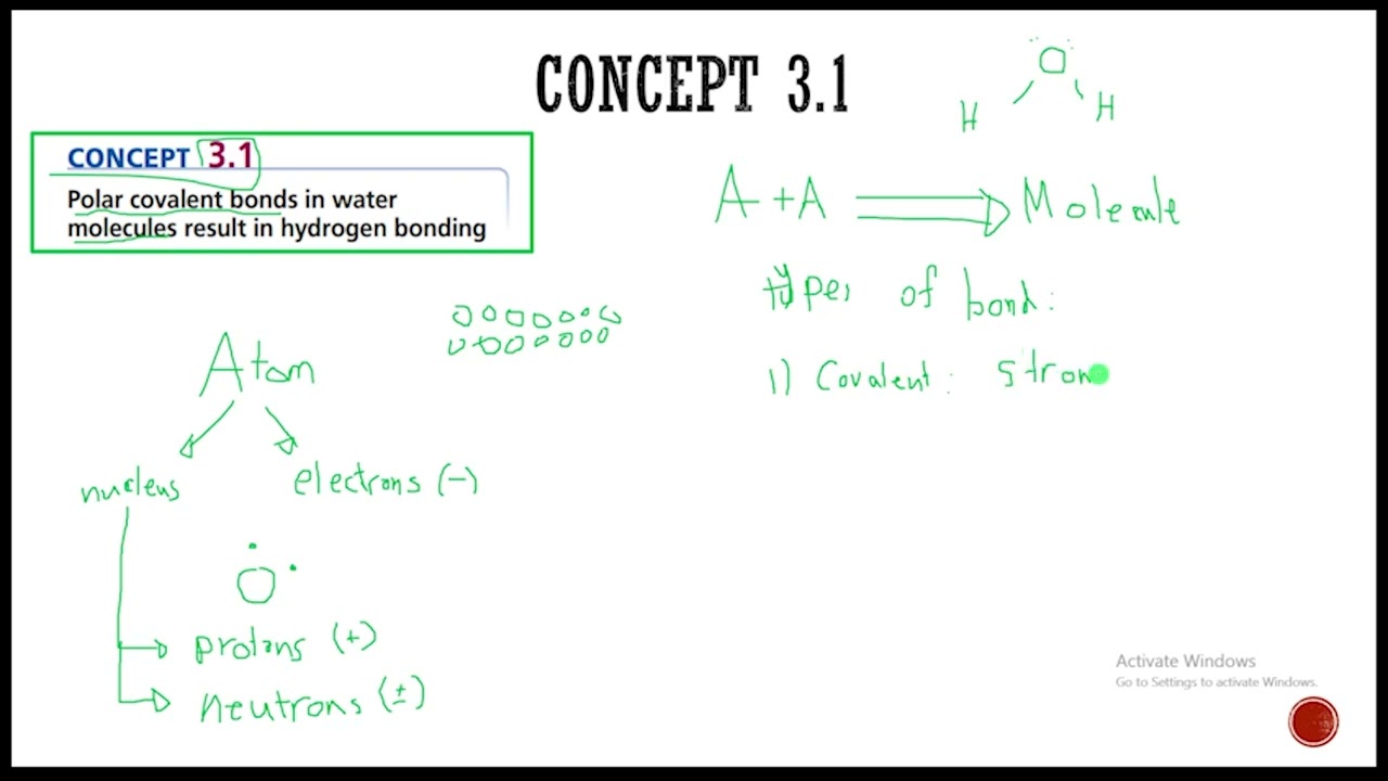Biology - Chapter 3.1 - The Chemistry of Water