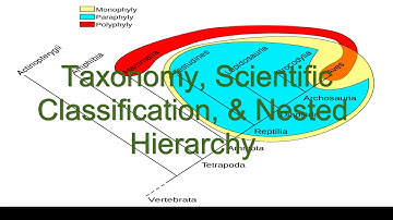 Taxonomy || Scientific Classification || Nested Hierarchy || Genius || Microbiology.