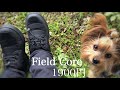 ワークマンで新しい靴購入したので愛犬とのんびり散歩した風景動画 Take a walk with the Yorkshire Terrier