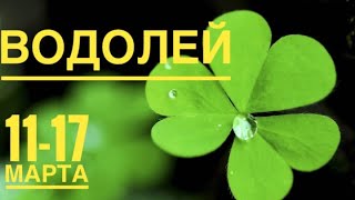 Водолей ♒️ 11-17 марта 2024 года Интересное решение 🍀🔮🗝✨☀️Таропрогноз