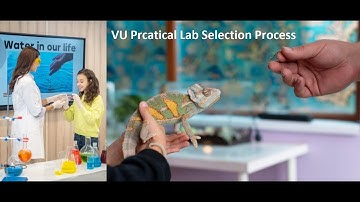 Online Practical in virtual university complete guidance