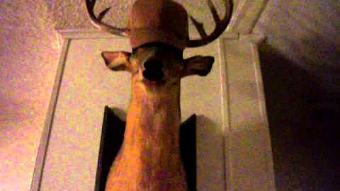 "Buck"-My Ding-A-Ling