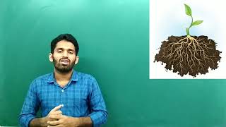 Class 5 Science, Chapter-2(SA-2) Soil erosion and conversation, (Soil consevation) Part-2
