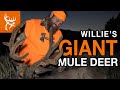 Velvet Willie | GIANT MULE DEER in UTAH | Buck Commander