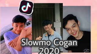 Kumpulan tiktok  Cogan