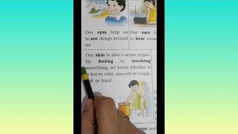 OUR SENSE ORGANS Class 1 E.V.S chapter 3 our sense organs original video by me