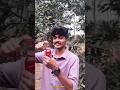 Red Sting⚡Maggi😋#haiztech #m4tech #experiment #foodie #short #trending #viral #malayalam #shorts