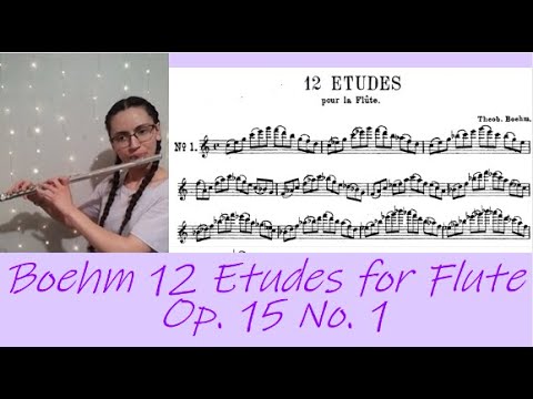 モイーズ　フュルステナウの練習曲　OP.15 モイーズ フュルステナウの練習曲 OP.15 - メルカリ
