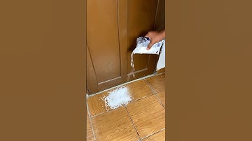 Put salt at your front door and the next day you’ll be amazed! #home #lifehack #tips