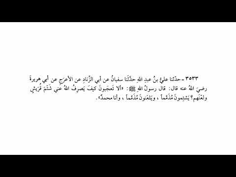 3533 حديث يشتمون مذمما ويلعنون مذمما وأنا محمد صحيح البخاري