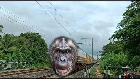 MAD Monkey Headed Intercity Express Train Dangerous & Furious Moving Out Railgate