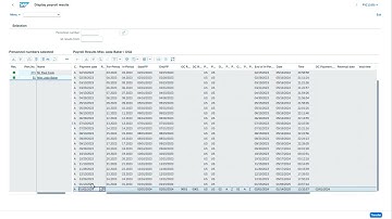 A Better WebGUI Experience in Employee Central Payroll (S/4HANA) with SAP Horizon & Advanced ALV