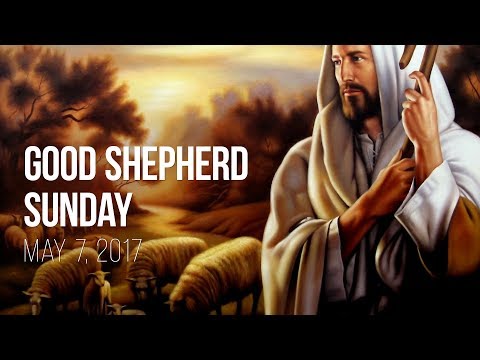 Weekend Reflection – May 7, 2017 (Good Shepherd Sunday)