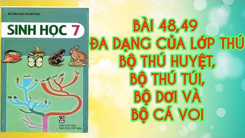 BÀI 48,49 ĐA DẠNG CỦA LỚP THÚ: BỘ THÚ HUYỆT,BỘ THÚ TÚI, BỘ DƠI VÀ BỘ CÁ VOI (SINH HỌC 7)