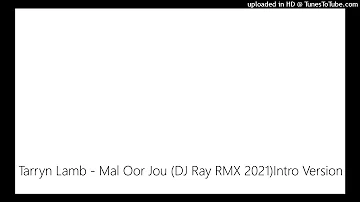 Tarryn Lamb - Mal Oor Jou (DJ Ray RMX 2021)Intro Version