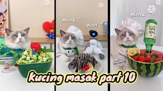 Video kucing masak part 10 😋🍭🐈[][] THAT LITTLE PUFF Compilation