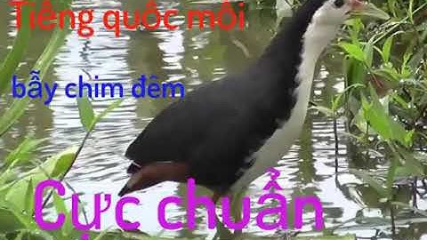 tiếng quốc mồi chuẩn không quảng cáo