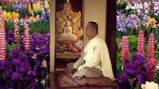 Sayagyi U Ba Khin the essentials of buddha dhamma in meditative practice_