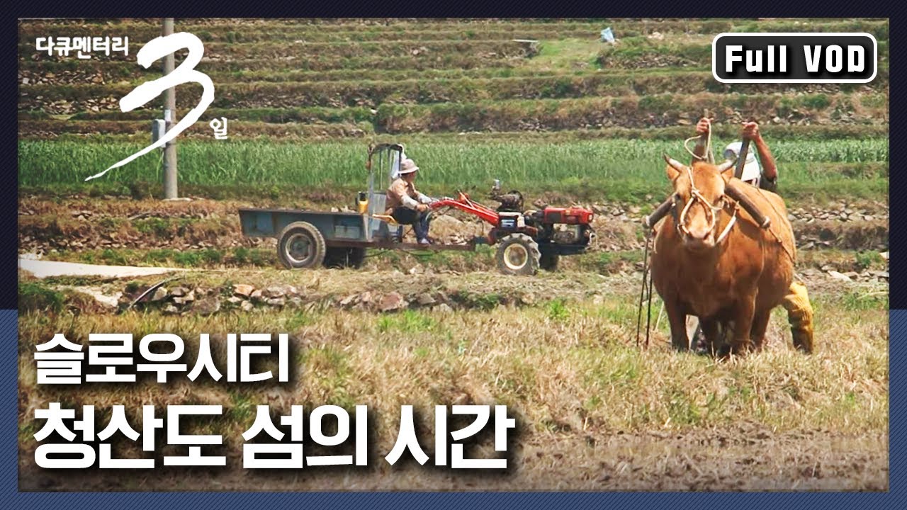 [다큐3일★풀버전] 아시아 최초 슬로우시티 네 군데 중 하나! 자연의 시간으로 흘러가는 곳, 청산도 | “느림의 섬 청산도 72시간” (KBS 090509 방송)