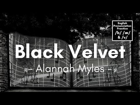 Black Velvet by Alannah Myles (Lyrics) 