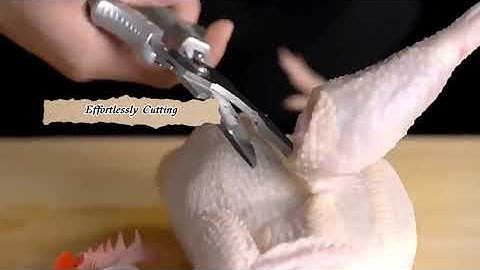 Multipurpose Stainless Steel Heavy Duty Kitchen Scissors