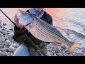 Fishing for BIG STRIPED BASS | LAKE MOHAVE, AZ